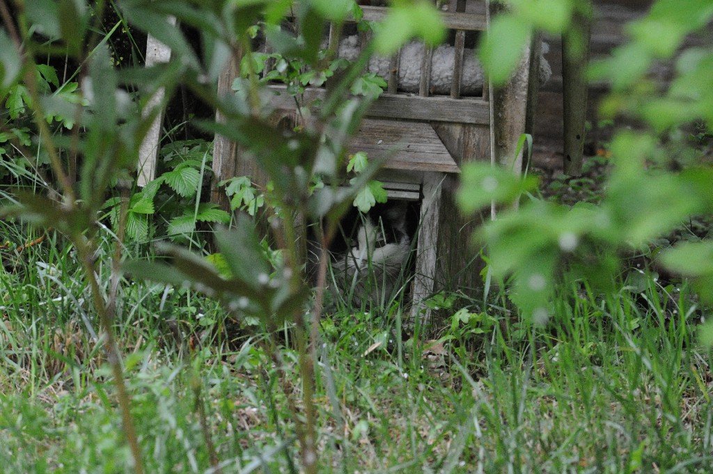 k-DSC_9617