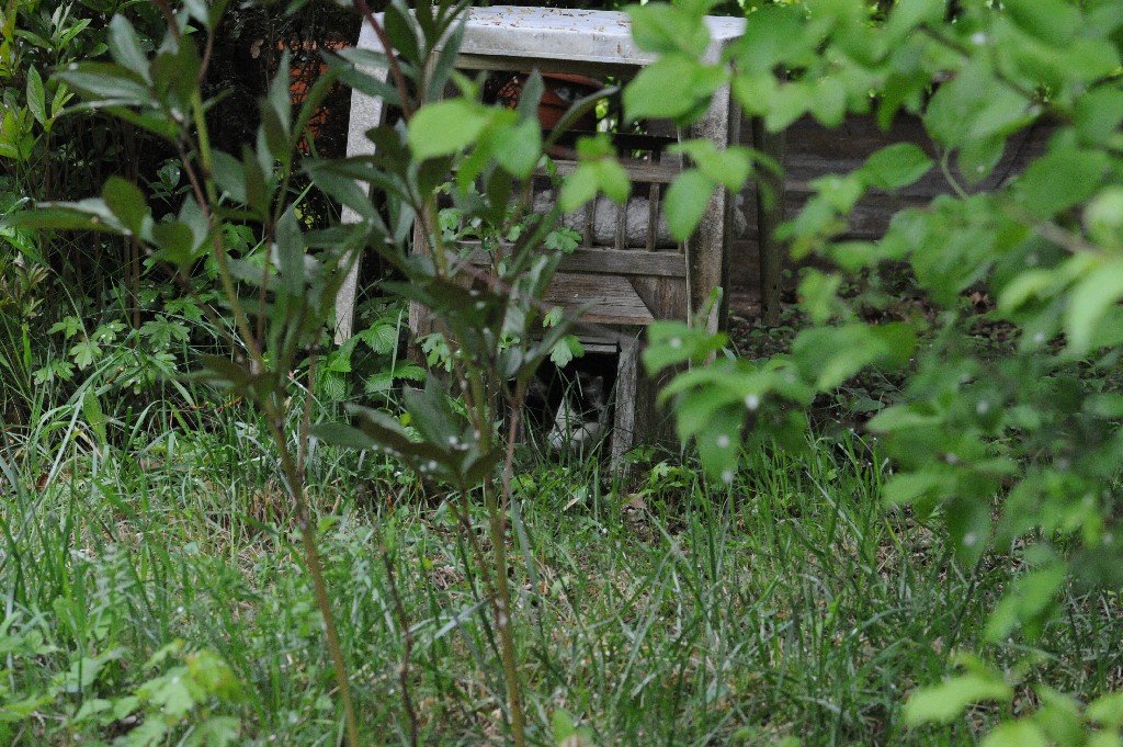 k-DSC_9624