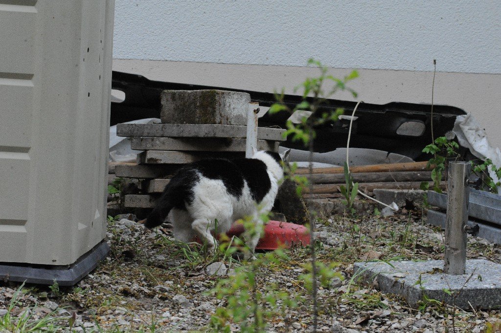k-DSC_9777