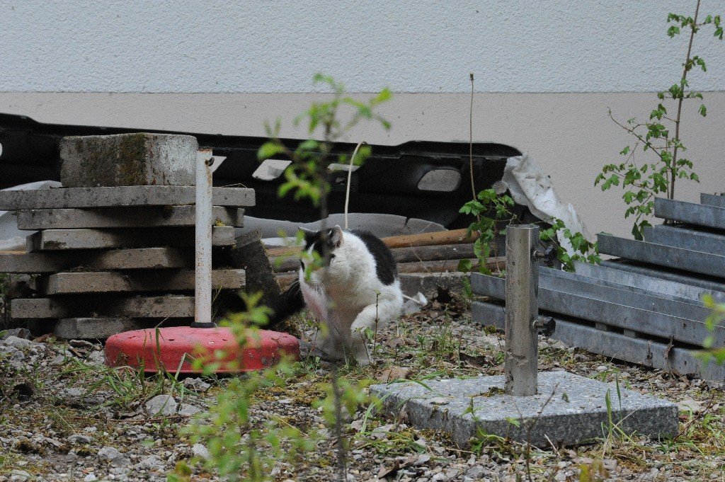 k-DSC_9781