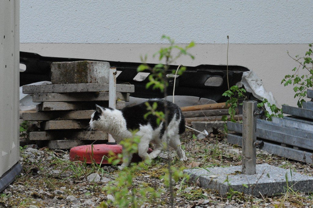k-DSC_9783