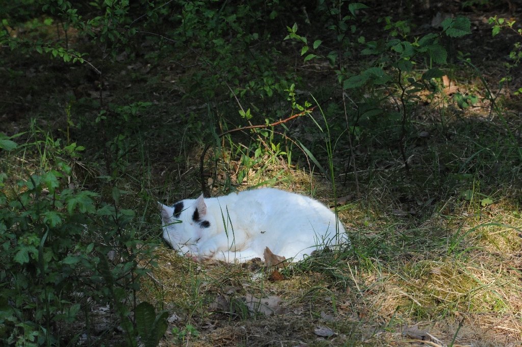 k-DSC_0061