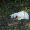k-DSC_0188